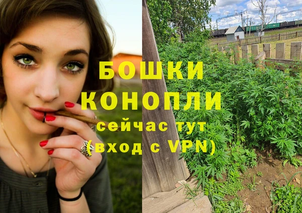 гидра Белоозёрский