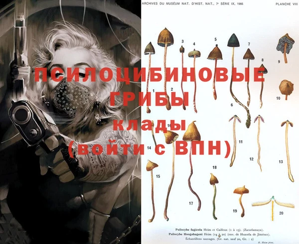 хмурый Балахна