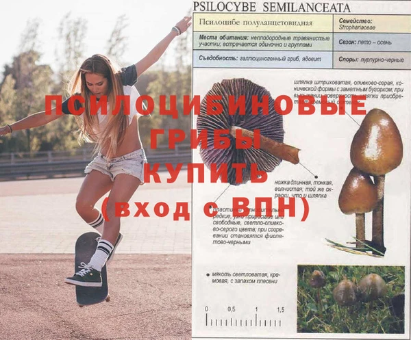 COCAINE Белокуриха
