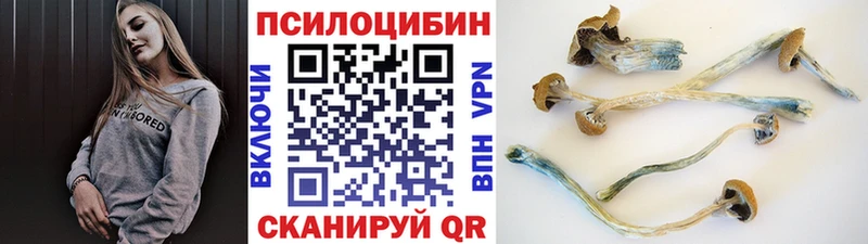 Псилоцибиновые грибы ЛСД  Бородино 